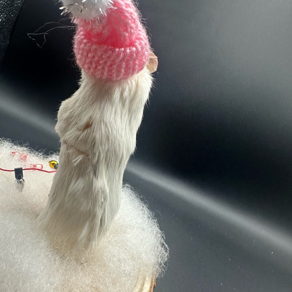 Festive Small Pet Decor with Pink Hat Taxidermy Real OOAK - Picture 6 of 6